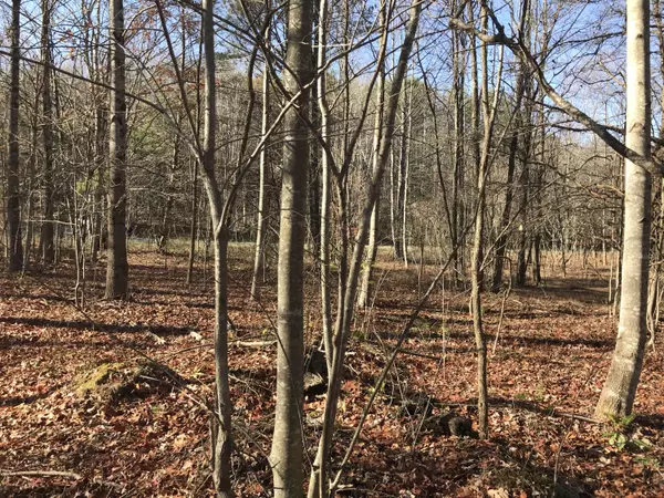 Dunlap, TN 37327,5 Hobbstown RD