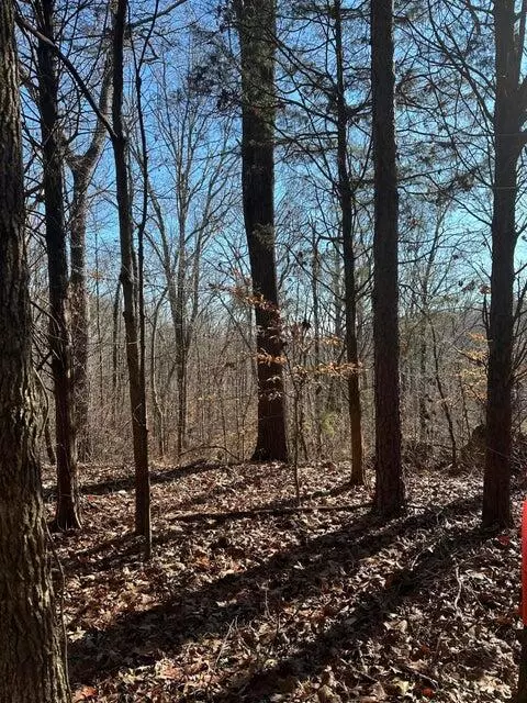 Charleston, TN 37310,Lot 2 Lower River RD