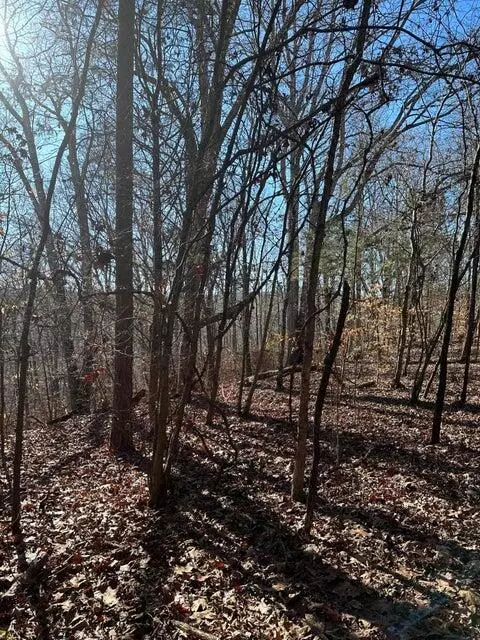 Charleston, TN 37310,Lot 2 Lower River RD