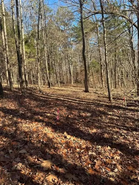 Charleston, TN 37310,Lot 2 Lower River RD