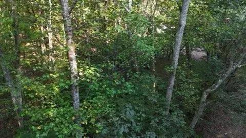 000 Lower River RD, Georgetown, TN 37336