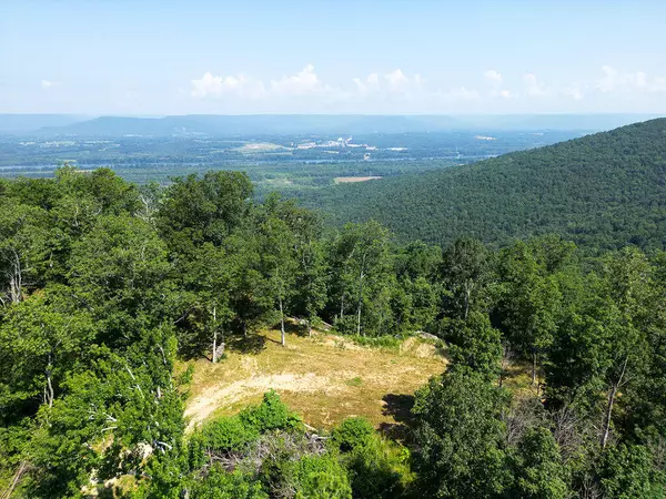 21.4 County Road 14, Flat Rock, AL 35966