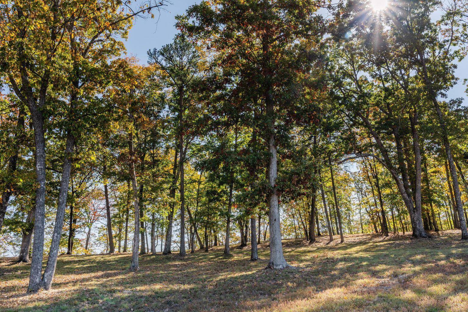 4189 Amethyst RD, Chattanooga, TN 37419