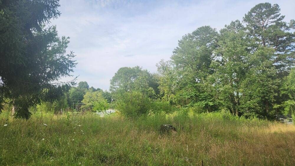 181 51st AVE, Gruetli Laager, TN 37339