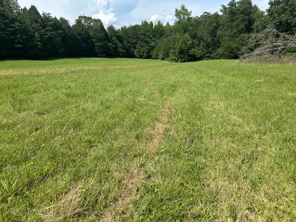 Spring City, TN 37381,18 Mccabe RD