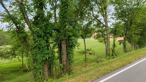 Riceville, TN 37370,Lot 4 County RD