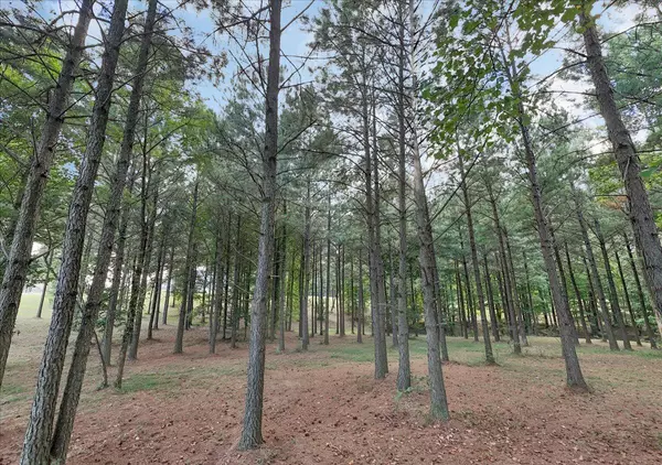 Jasper, TN 37347,1711 Raulston Falls RD