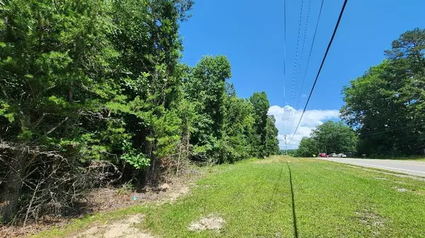 Gruetli Laager, TN 37339,Lots 2/4 Sr 108