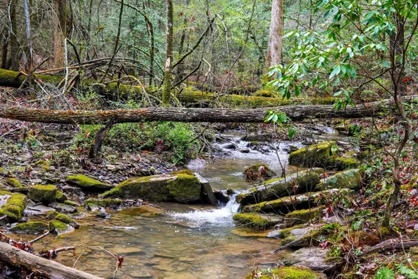 Signal Mountain, TN 37377,2424 Corral RD