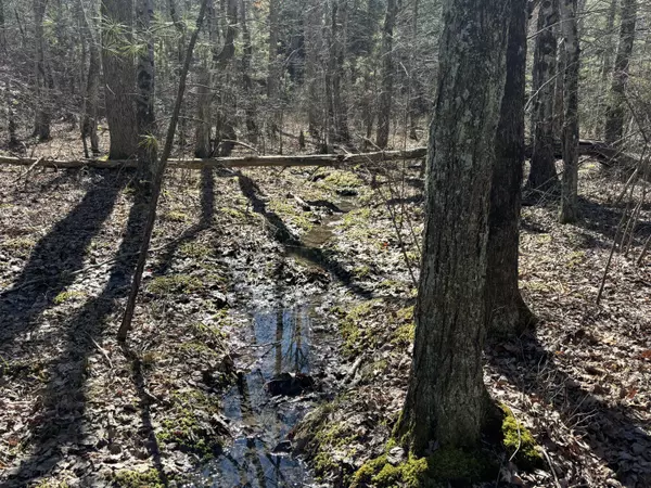 Dunlap, TN 37327,1 Fredonia RD