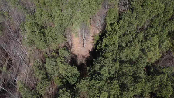 Dunlap, TN 37327,4 Fredonia RD