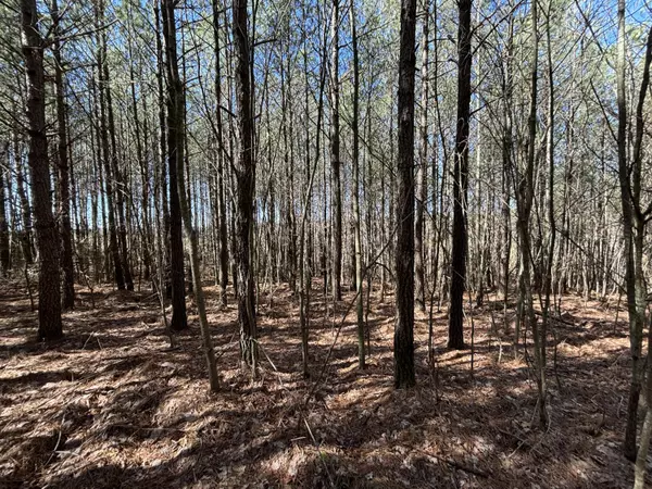 Dunlap, TN 37327,4 Fredonia RD