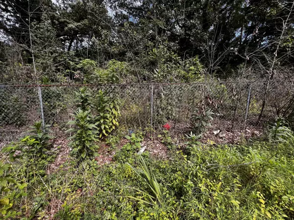 Chattanooga, TN 37421,Lot 5 Carver ST