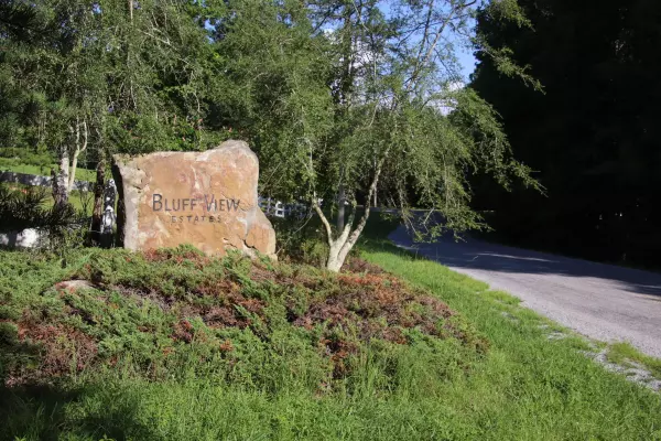 Dunlap, TN 37327,400 Tree House TRL