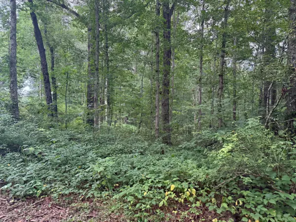 Tracy City, TN 37387,Lot 1 Tipple Road