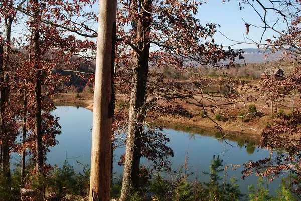 Rising Fawn, GA 30738,8 Lakeview DR