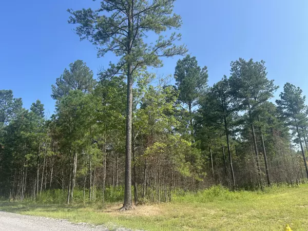 Guild, TN 37340,520 Buck Crossing DR