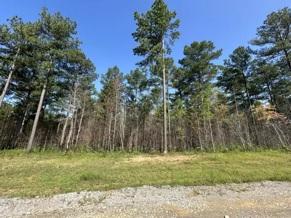 Guild, TN 37340,520 Buck Crossing DR