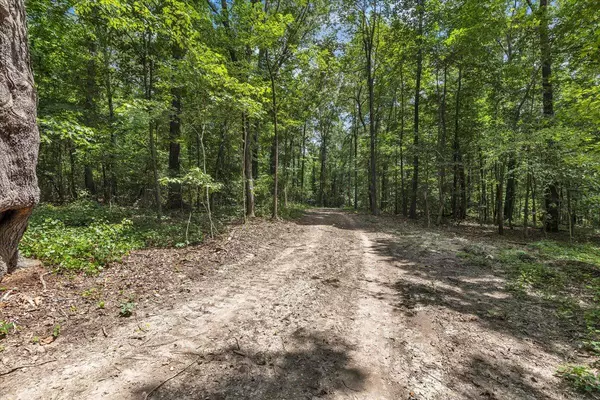 Dalton, GA 30721,20 Acres Meers RD