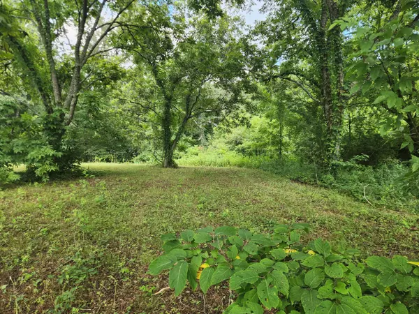 Decatur, TN 37322,Lot 4 Espalier DR