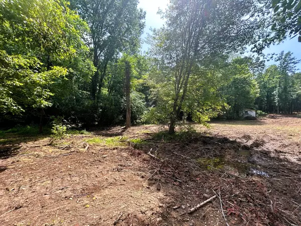 Ten Mile, TN 37880,Tract 10 Pleasant Hill Road