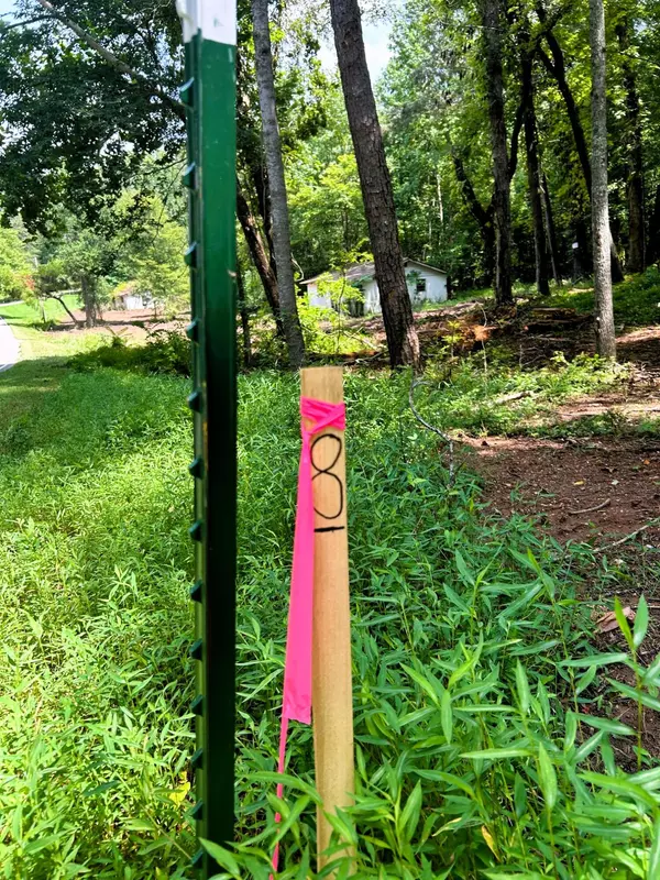 Ten Mile, TN 37880,Tract 8 Pleasant Hill Road