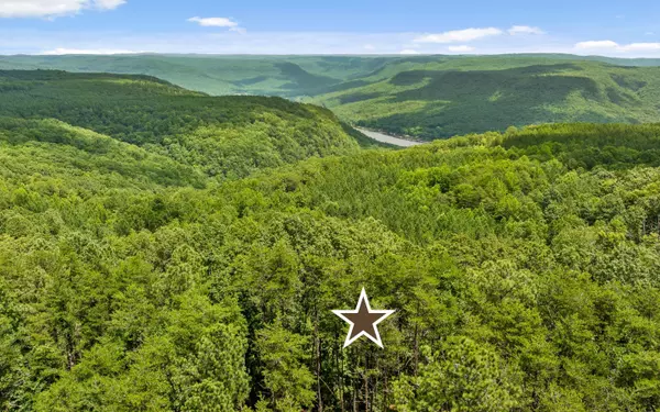 Guild, TN 37340,Lot 1205 Big View RD