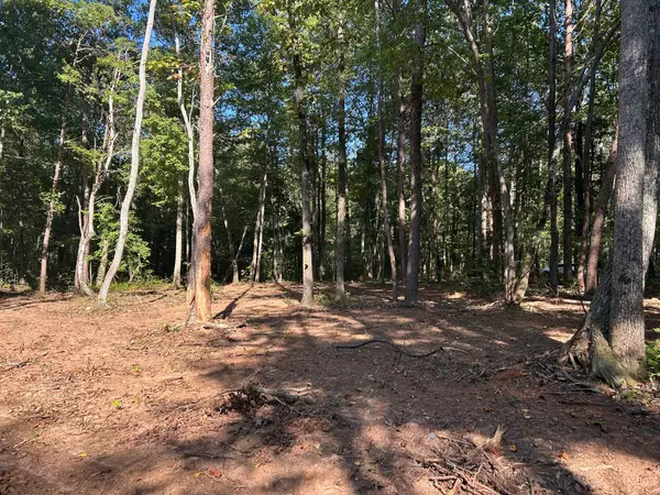 Ten Mile, TN 37880,Tract 6 Pleasant Hill Road