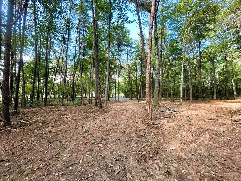 Tract 5 Pleasant Hill Road, Ten Mile, TN 37880