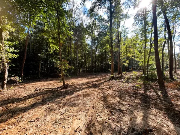 Ten Mile, TN 37880,Tract 4 Pleasant Hill Road