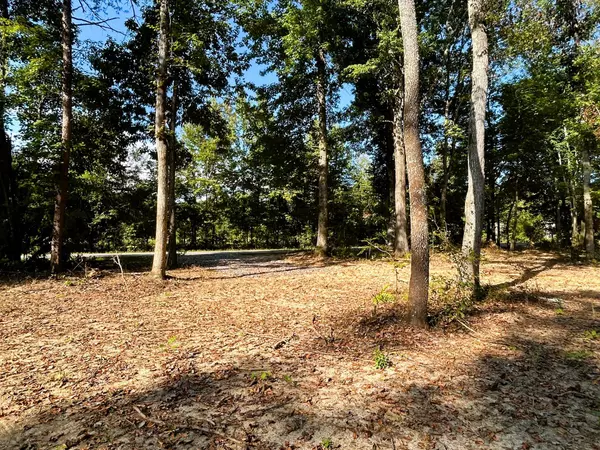 Ten Mile, TN 37880,Tract 3 Pleasant Hill Road