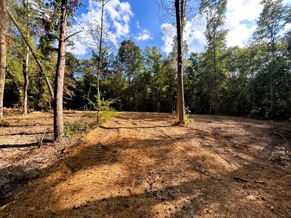 Ten Mile, TN 37880,Tract 1 Pleasant Hill Road
