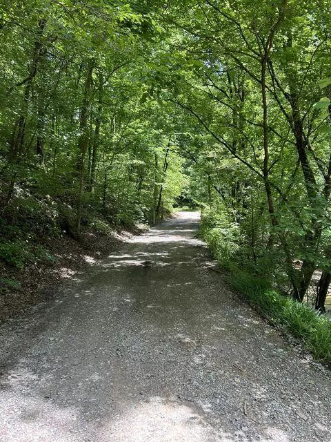 Englewood, TN 37329,1133-1137 County Road 480