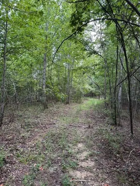 South Pittsburg, TN 37380,0 South Pittsburg Mountain Road