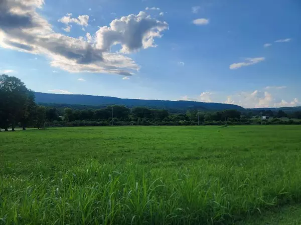 Spring City, TN 37381,Lot 33 Hinch ST