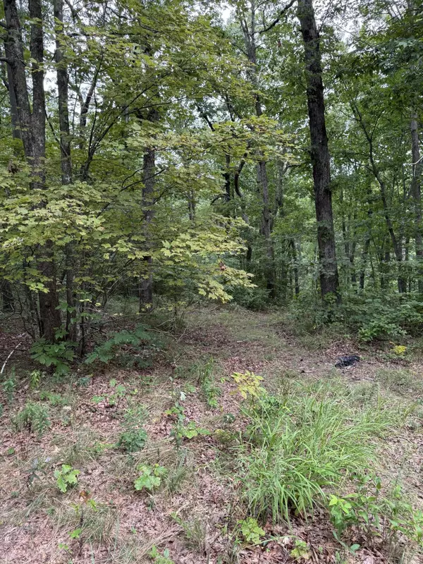 Menlo, GA 30731,0 Tatum Gulf RD