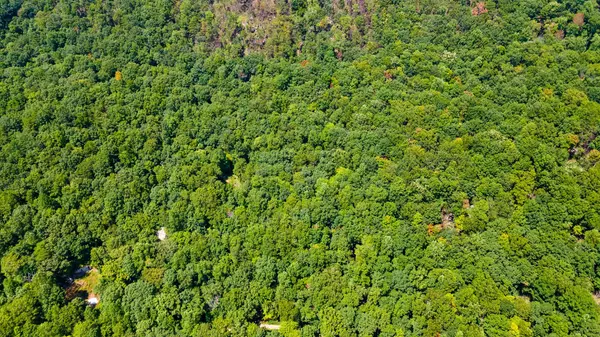 Dunlap, TN 37327,1 Woodcock Rd