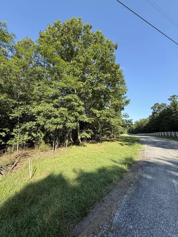 Dunlap, TN 37327,0 Bluff View DR