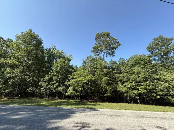 Dunlap, TN 37327,0 Bluff View DR