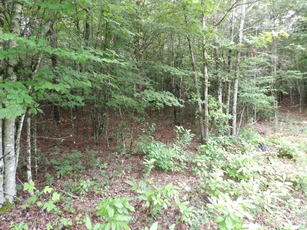 Spencer, TN 38585,00 Green Field RD