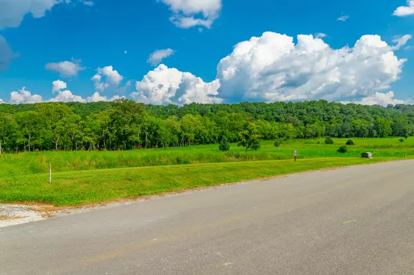 Dunlap, TN 37327,Lot 61 River Ridge DR