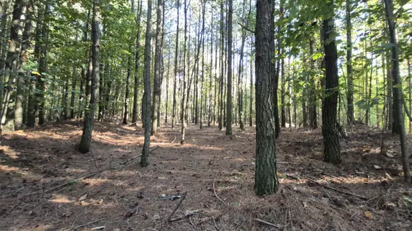 Jasper, TN 37347,4560 Raulston Falls RD