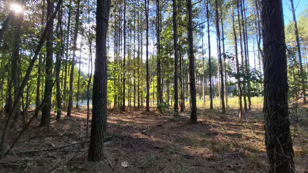 Jasper, TN 37347,4560 Raulston Falls RD