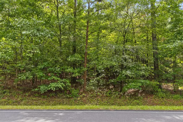 Chatsworth, GA 30705,Tr4 B-1 Conniston RD