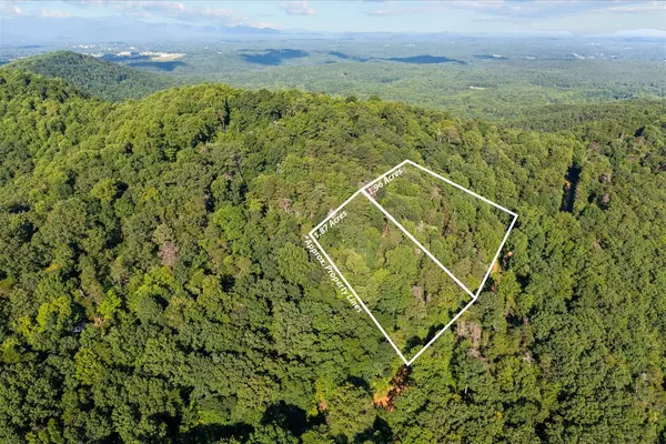 Jasper, GA 30143,Lot 4-5 Firetower RD