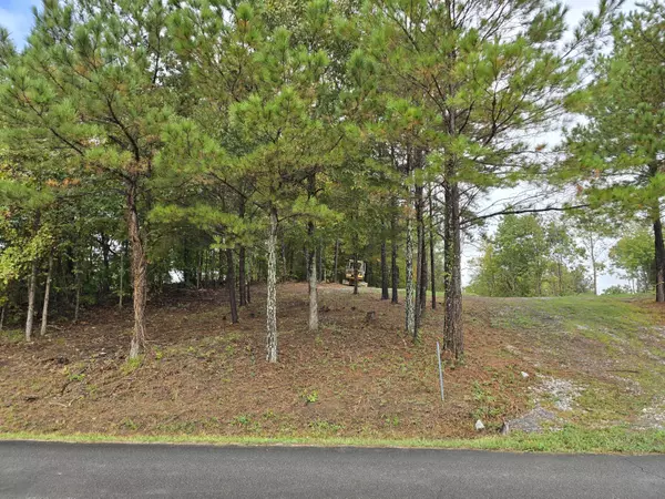 0 Old Alabama RD, Mcdonald, TN 37353