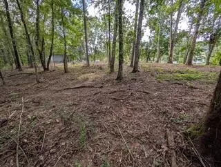 Chickamauga, GA 30707,492 Carolyn DR