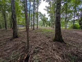 Chickamauga, GA 30707,492 Carolyn DR