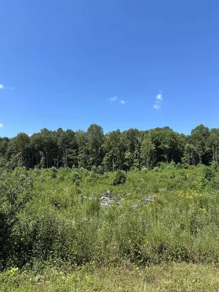 Tract 12 Dykes Hollow Road, Tracy City, TN 37387