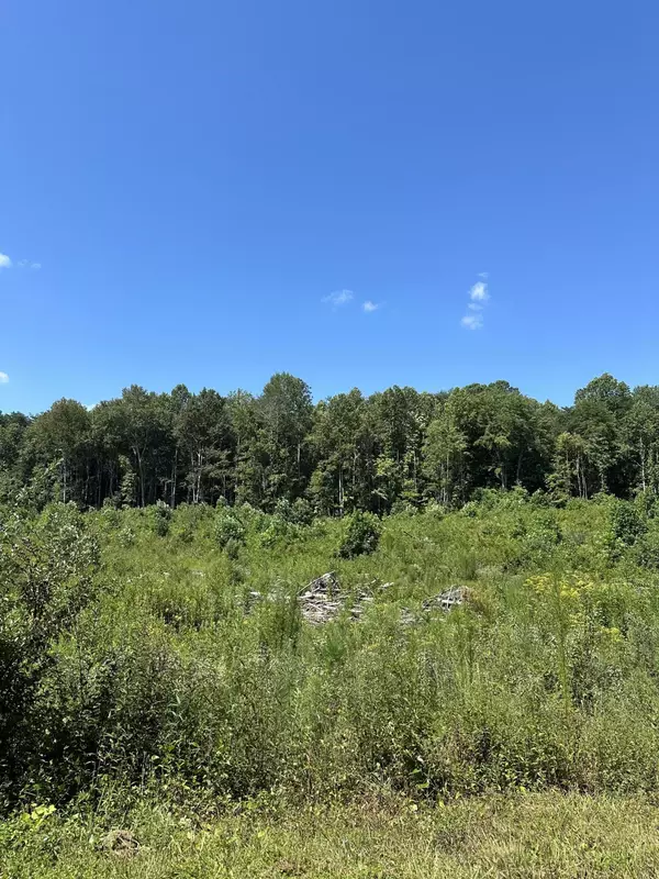 Tract 12 Dykes Hollow Road, Tracy City, TN 37387